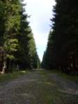 p1090309_small.jpg