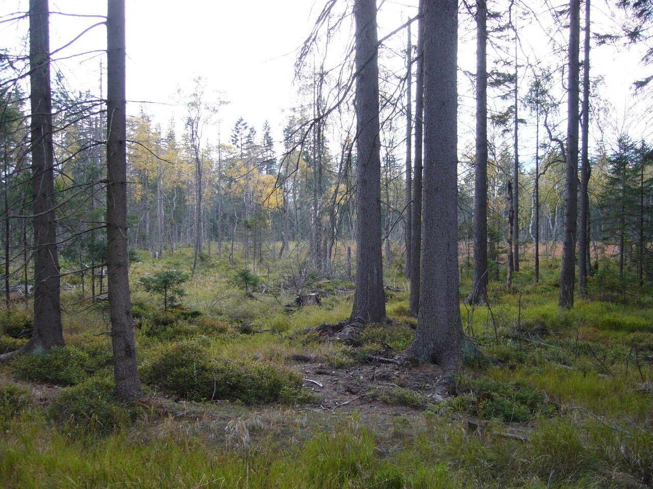 p1090329.jpg