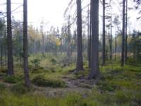p1090329_small.jpg