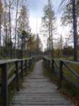 p1090332_small.jpg