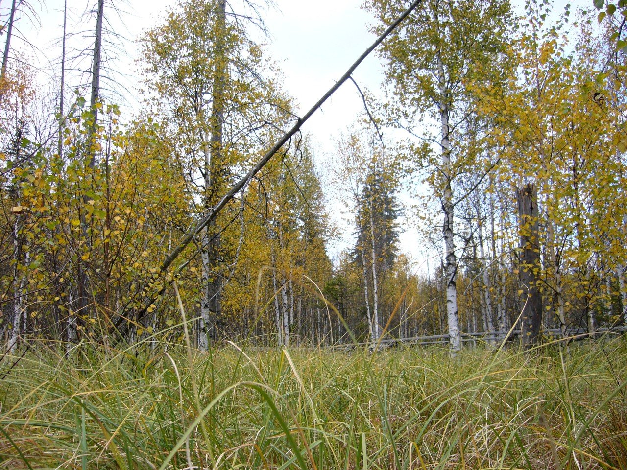p1090341_.jpg
