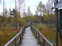 p1090345_small.jpg