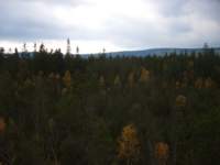 p1090358__small.jpg