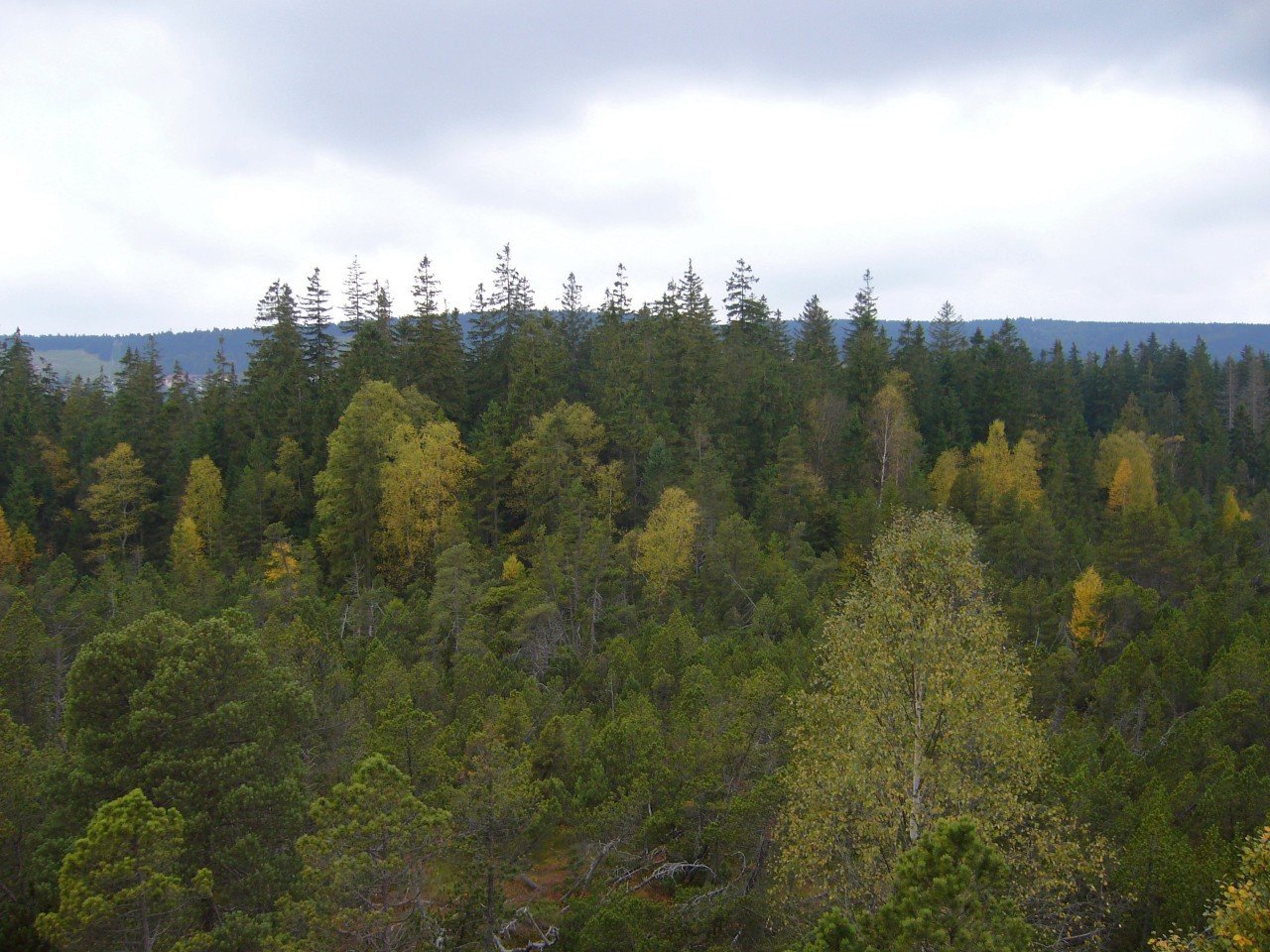 p1090360_.jpg