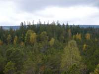 p1090360__small.jpg