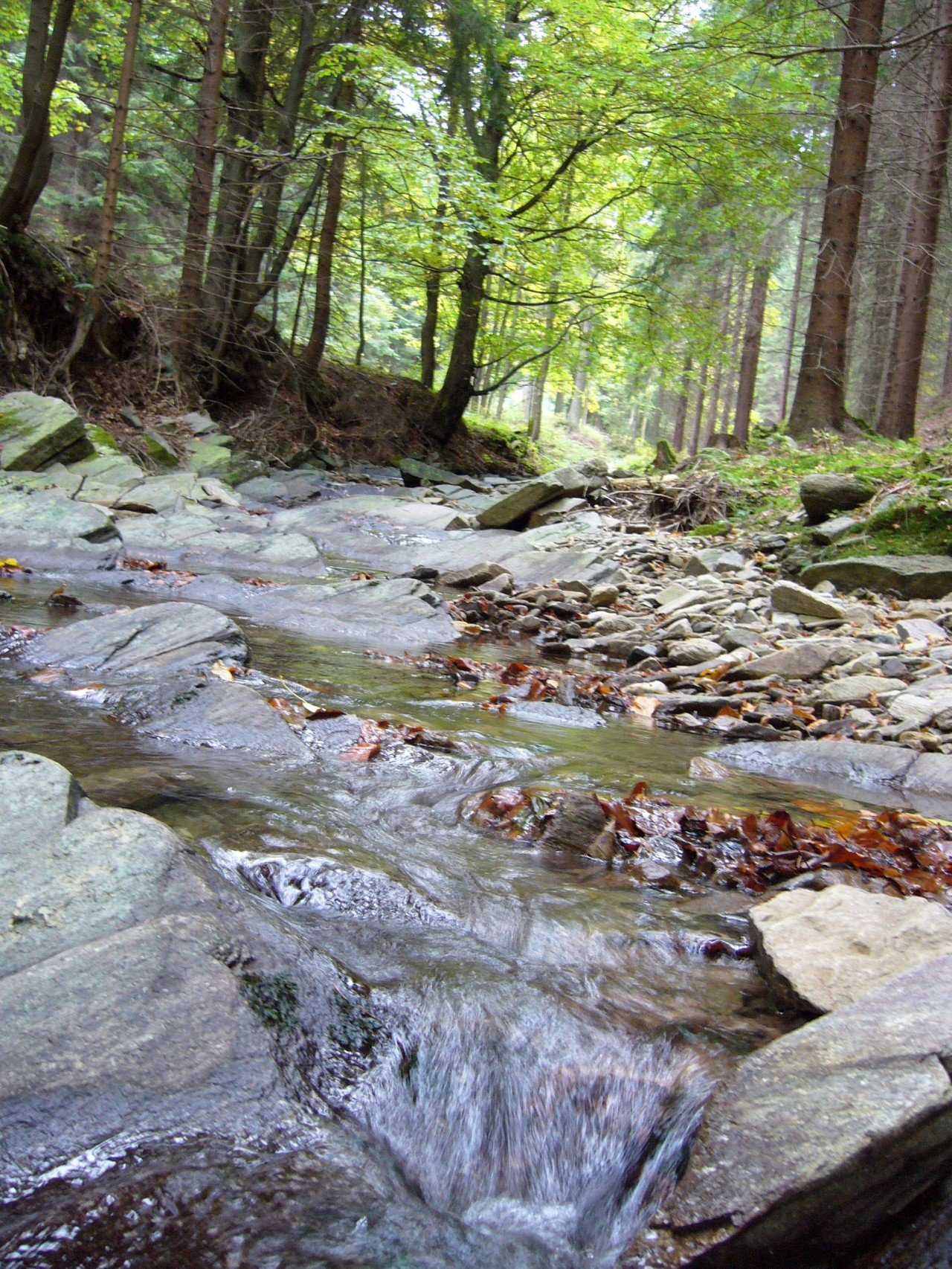 p1090374_.jpg