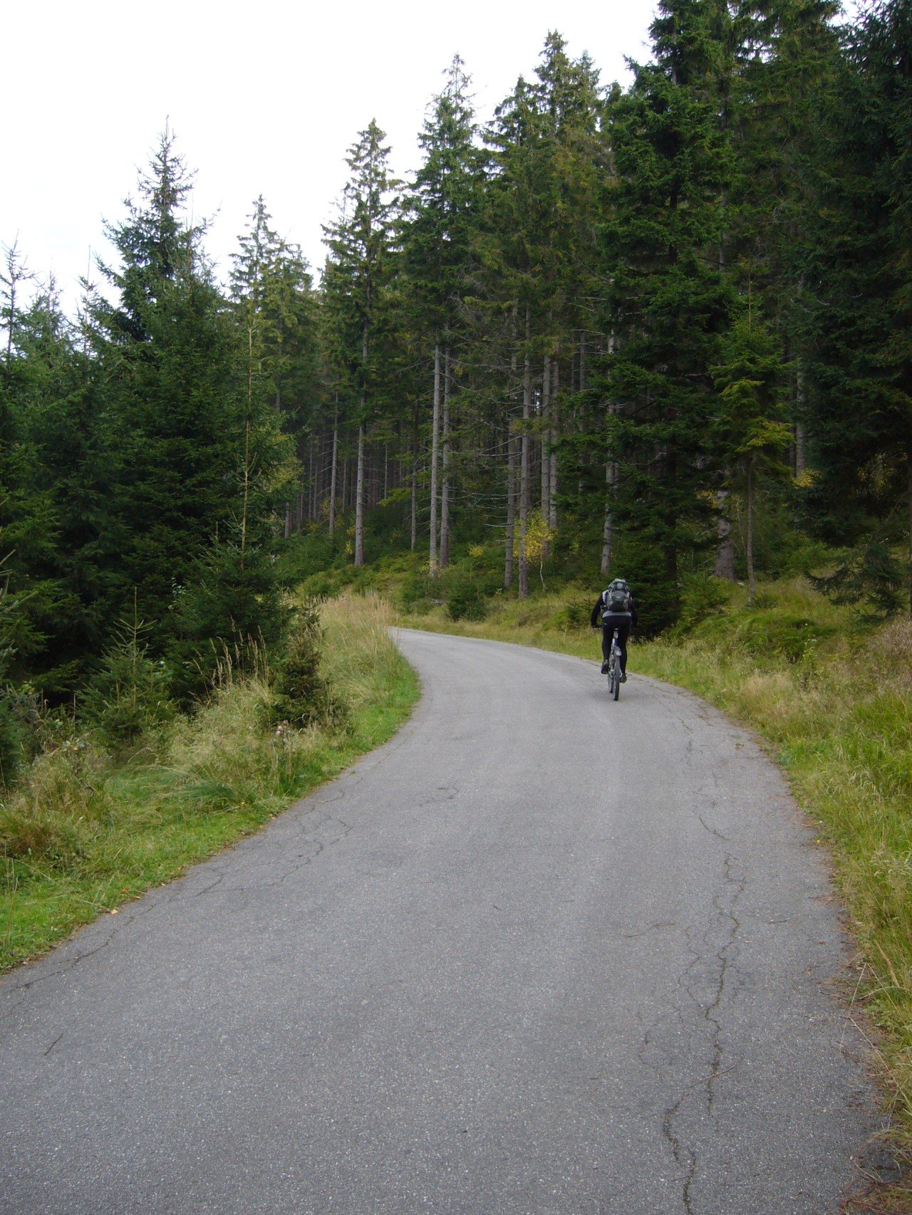 p1090378.jpg