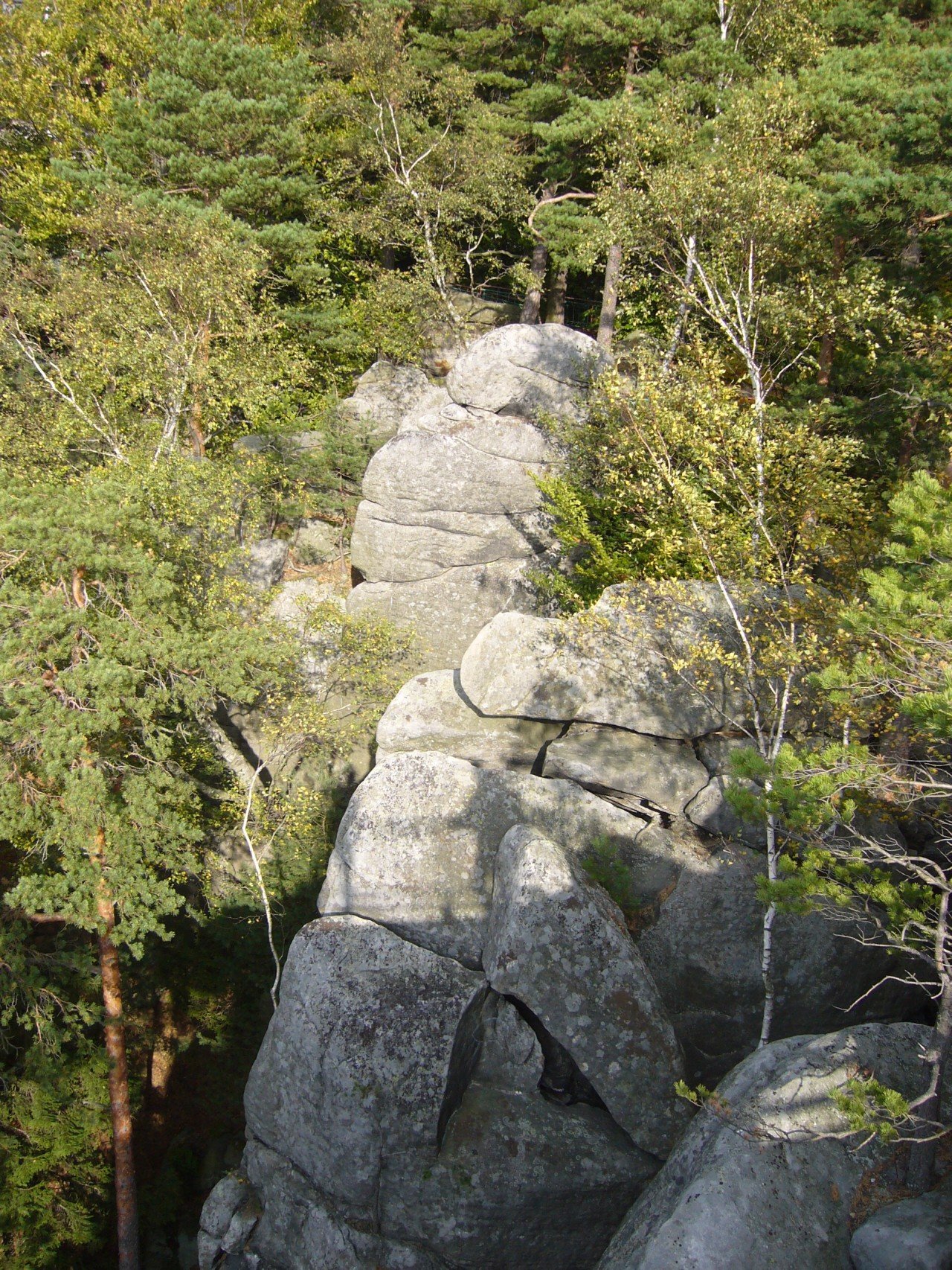 p1090389.jpg