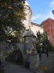 p1090399__small.jpg