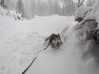 img_0750_small.jpg