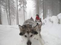 img_0759_small.jpg
