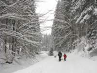 img_3974_small.jpg