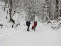 img_3979_small.jpg