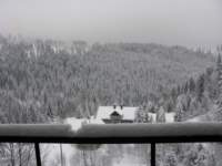 img_4036_small.jpg