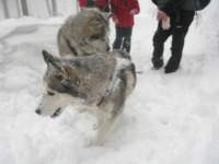 img_4087_small.jpg