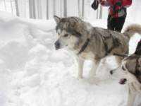 img_4101_small.jpg