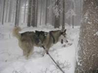 img_4123_small.jpg
