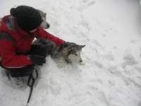 img_4140_small.jpg