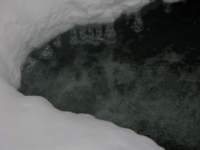 img_4272_small.jpg