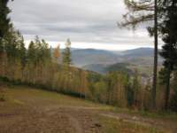 img_3272_small.jpg