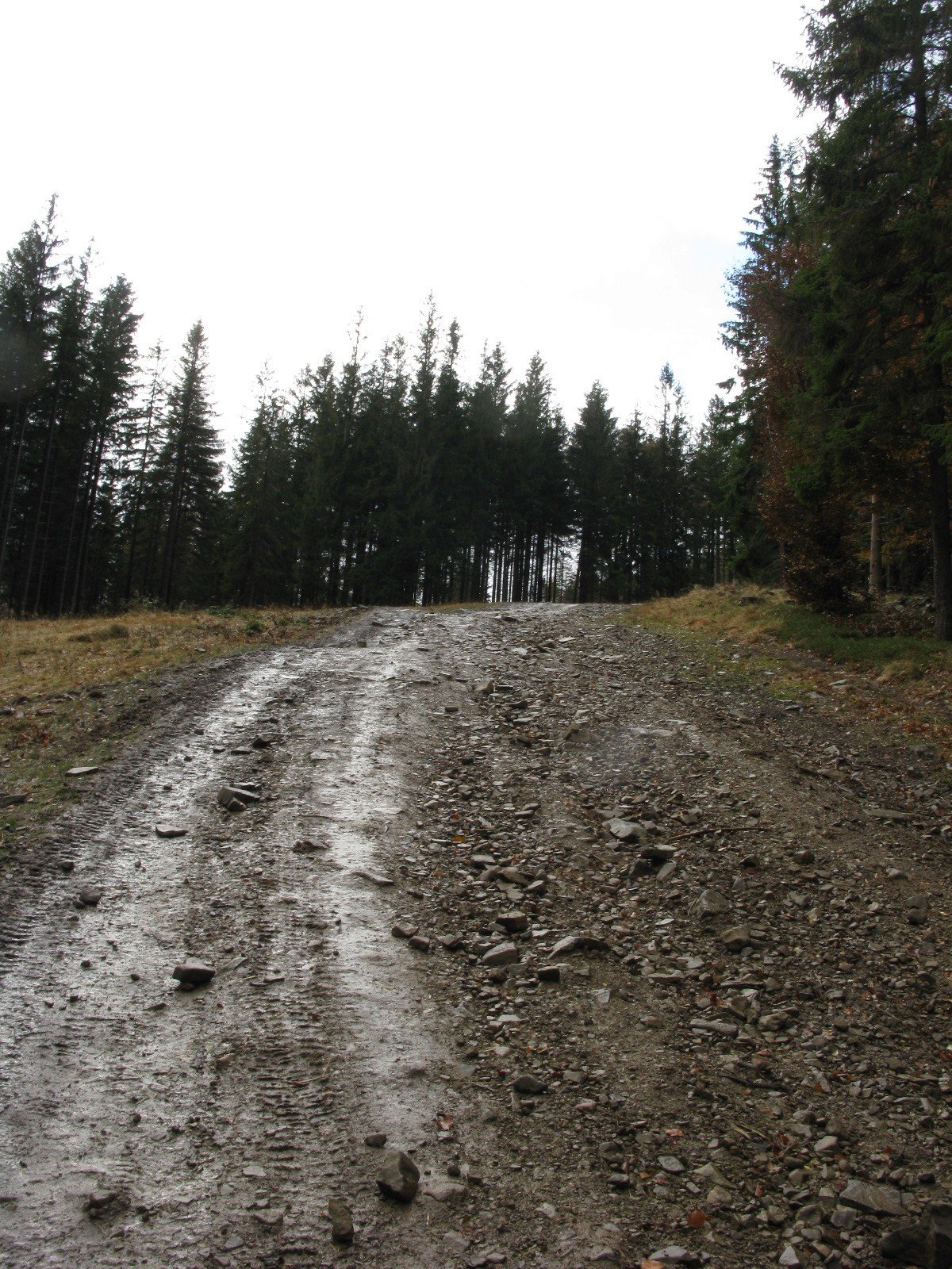img_3273.jpg