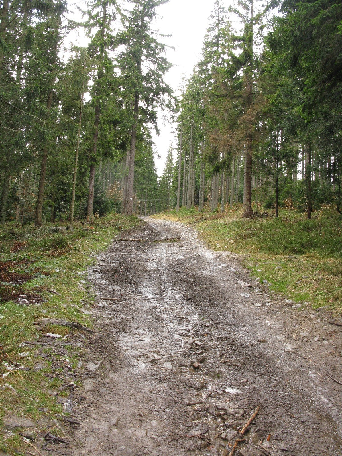 img_3277.jpg