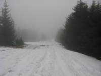 img_3307_small.jpg