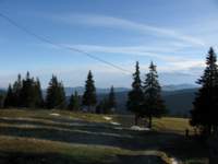 img_3321_small.jpg