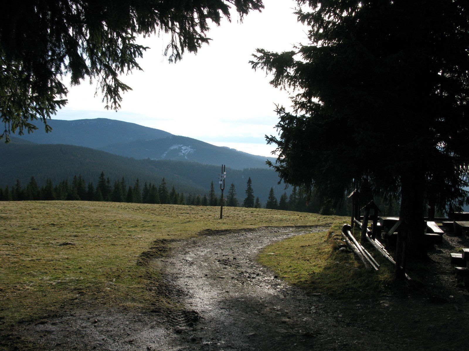img_3337.jpg