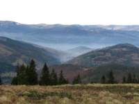 img_3379_small.jpg