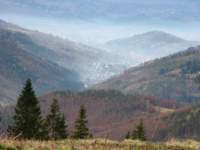 img_3381_small.jpg