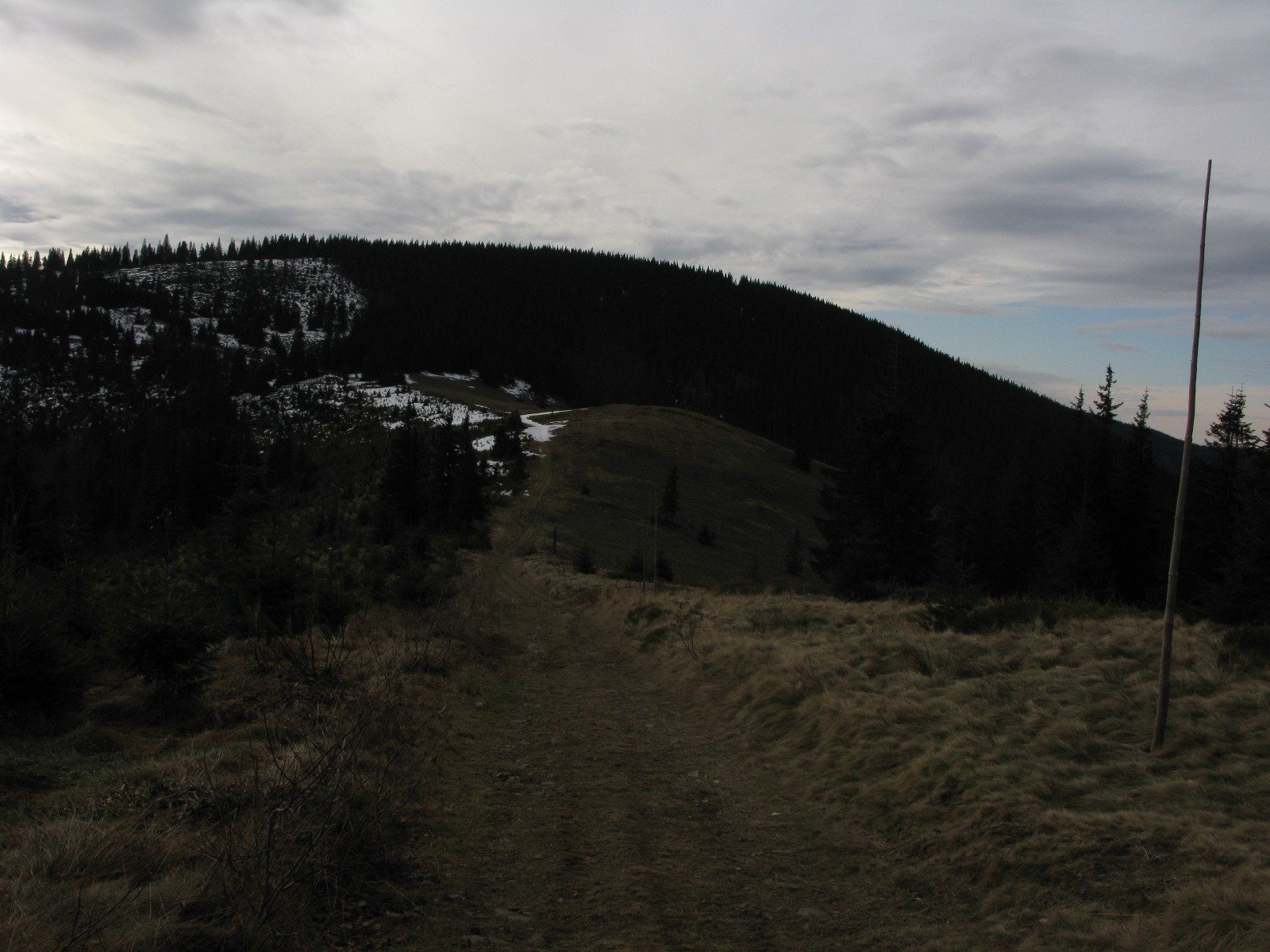 img_3401.jpg