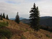 img_3405_small.jpg