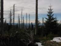 img_3409_small.jpg
