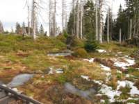 img_3416_small.jpg
