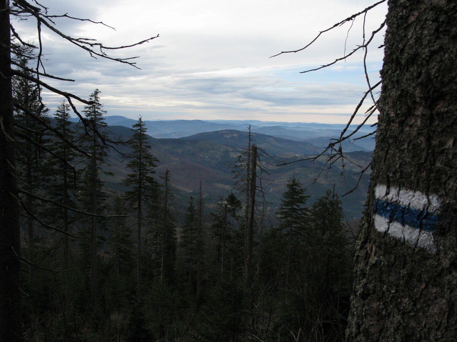 img_3427.jpg