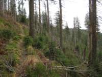 img_3439_small.jpg