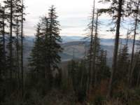 img_3440_small.jpg