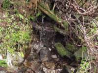 img_3445_small.jpg