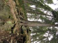 img_3452_small.jpg