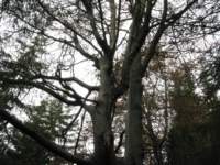 img_3456_small.jpg
