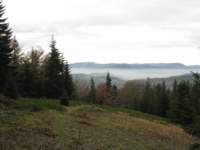 img_3460_small.jpg