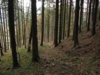 img_3461_small.jpg