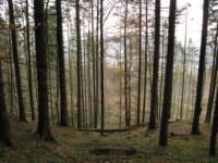 img_3463_small.jpg