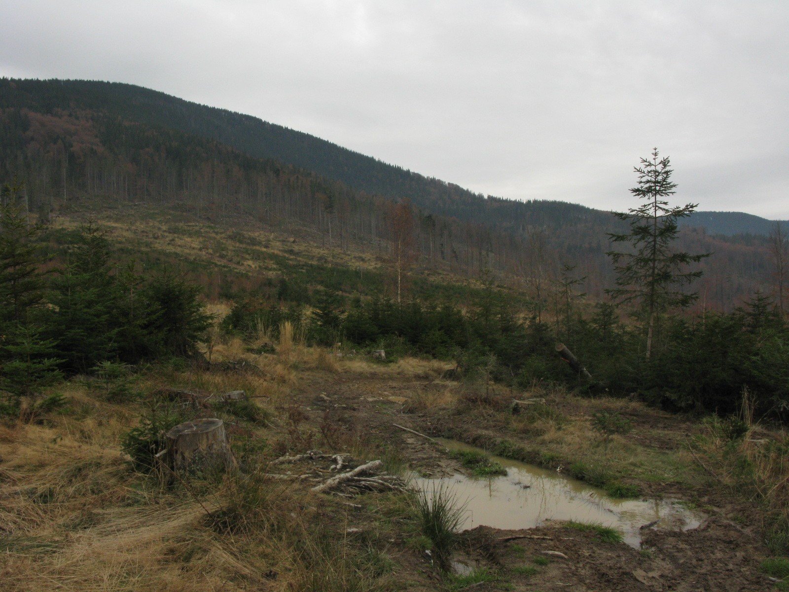 img_3474.jpg