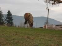 img_3481_small.jpg