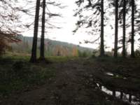 img_3486_small.jpg
