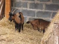 img_3499_small.jpg