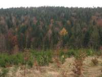 img_3502_small.jpg