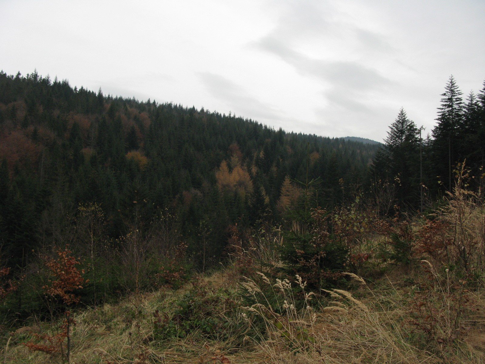 img_3504.jpg